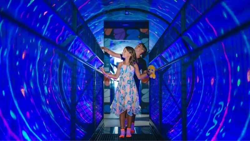 Back to School with a Touch of Magic! First Graders Enter Free
